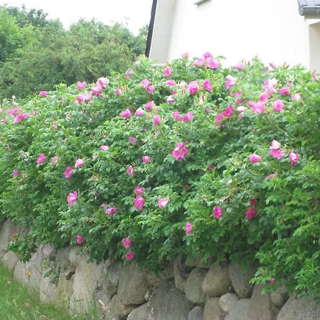 Urlaubsglueck Familien- & Hunde-paradies *