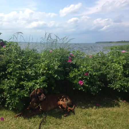 Urlaubsglueck Familien- & Hunde-paradies Holiday home Rankwitz