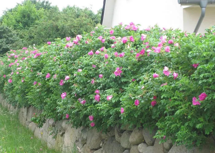 Urlaubsglueck Familien- & Hunde-paradies *