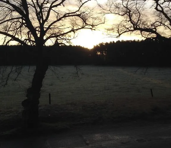 Urlaubsglueck Familien- & Hunde-paradies