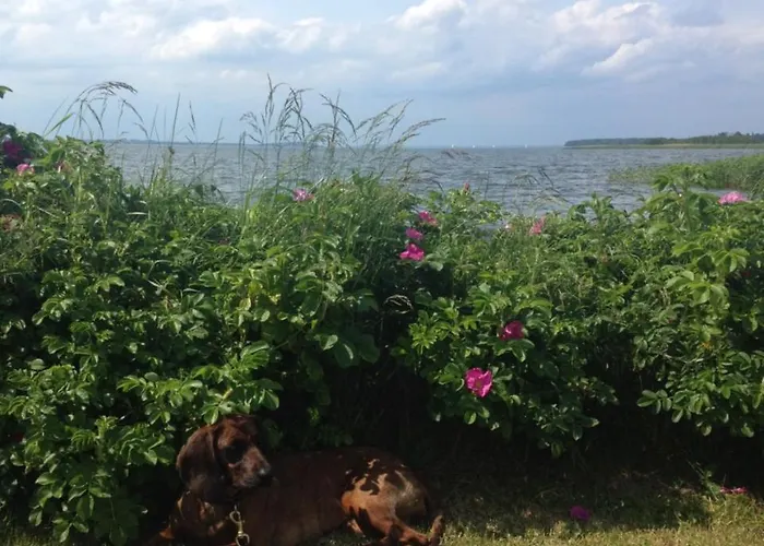 Urlaubsglueck Familien- & Hunde-paradies בית נופש Rankwitz