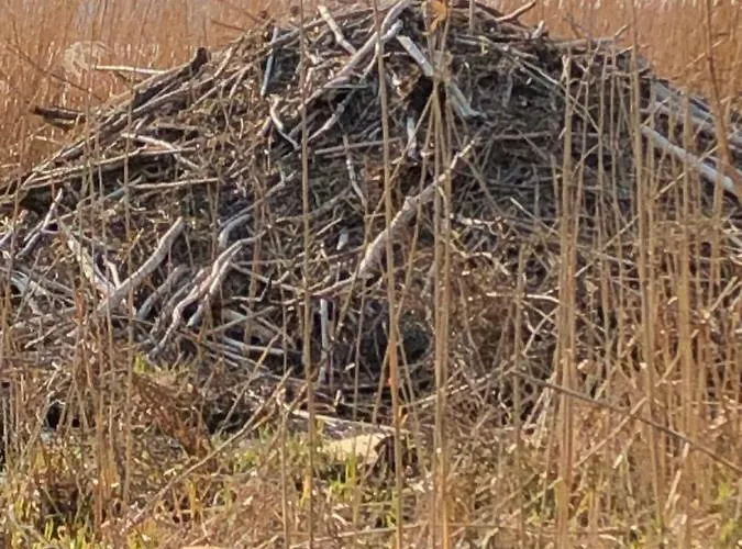 בית נופש Urlaubsglueck Familien- & Hunde-paradies Rankwitz